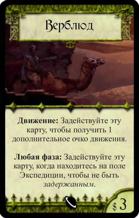 Верблюд — лицевая сторона