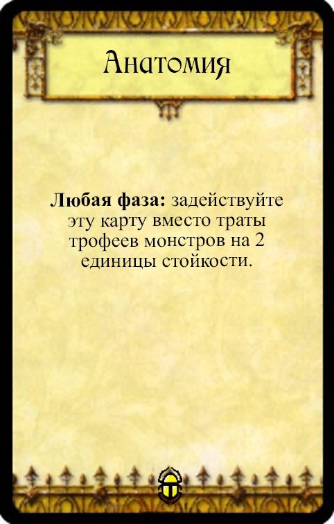 Анатомия