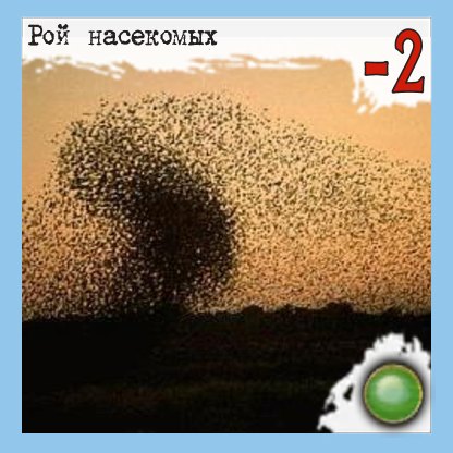 Рой насекомых