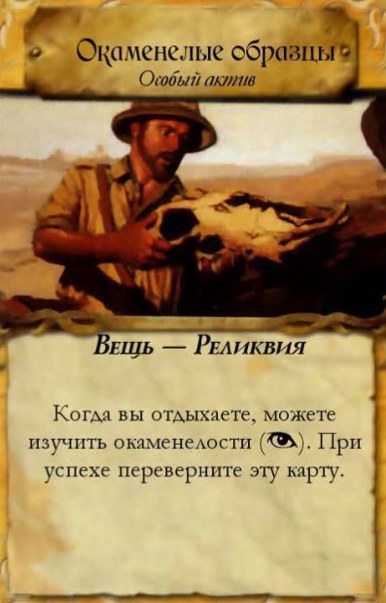 Окаменелые образцы — лицевая сторона