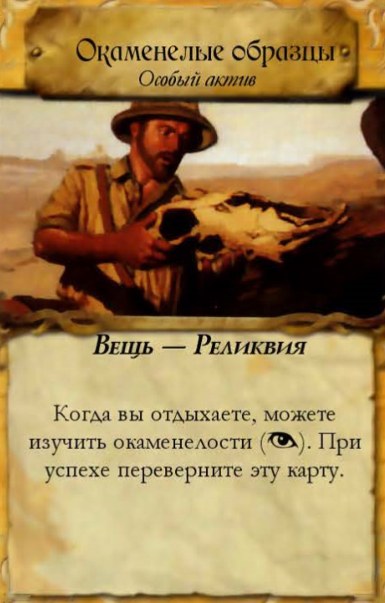 Окаменелые образцы — лицевая сторона